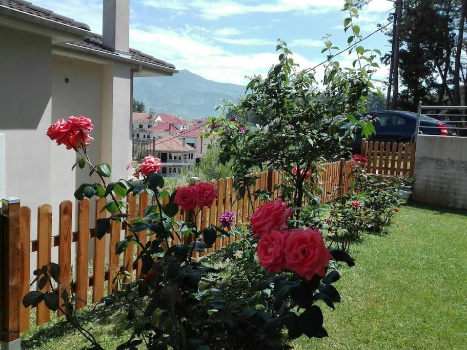 Lily'S Apartment Ioannina Ngoại thất bức ảnh