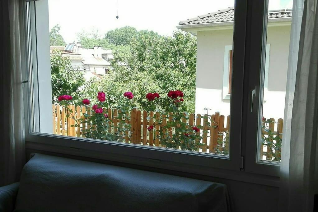 Lily'S Apartment Ioannina Ngoại thất bức ảnh